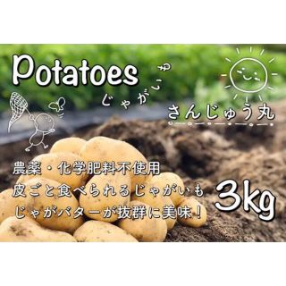 皮ごと食べよ(๑⃙⃘´꒳`๑⃙⃘)  新じゃがいも　さんじゅう丸　3㎏　無農薬(野菜)