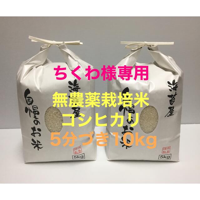 ちくわ様専用 無農薬コシヒカリ5分づき10kg(5kg×2)令和3年 徳島県産 米/穀物