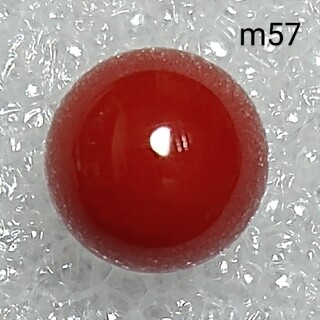 p09 血赤 煌珊瑚 片穴 半球 11.7 mm 8.70 ct 1.74 g
