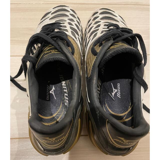 MIZUNO - ミズノ ウェーブイグニタス MD 25cmの通販 by MIZUNO - ミズノ ウェーブイグニタス MD 25cmの通販 by