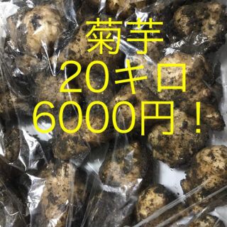 最後の特価！無農薬菊芋　20キロ 6000円 集中的な体調改善にもオススメ！(野菜)