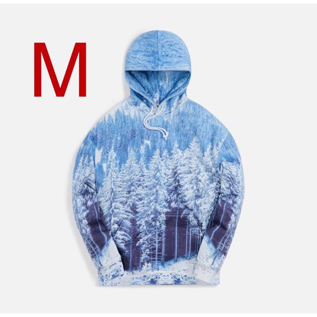 Kith Winter Forest Hoodie M