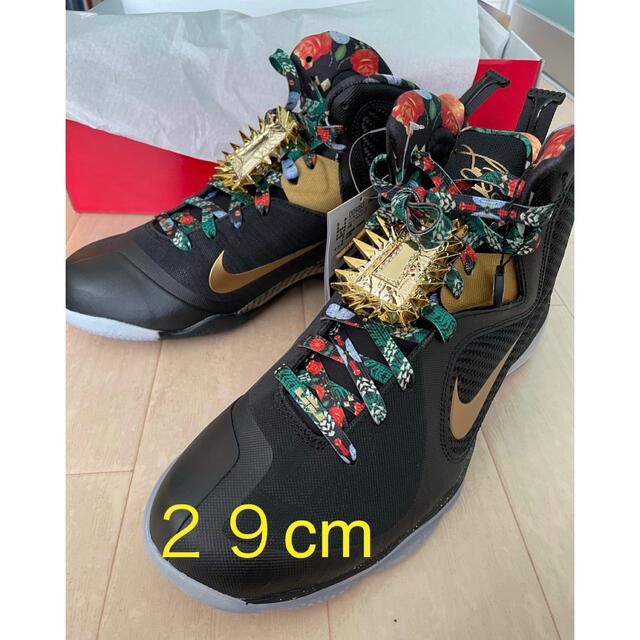 NIKE(ナイキ)のNike Lebron 9 "Watch The Throne"２９cm スポーツ/アウトドアのスポーツ/アウトドア その他(バスケットボール)の商品写真