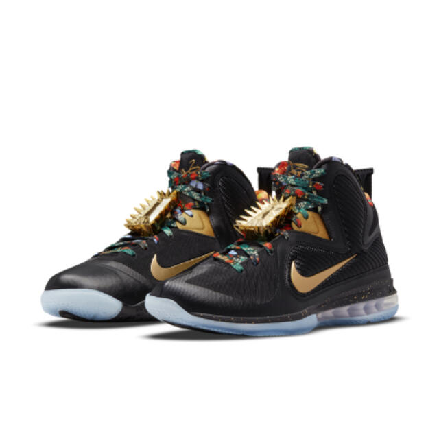 NIKE(ナイキ)のNike Lebron 9 "Watch The Throne"２９cm スポーツ/アウトドアのスポーツ/アウトドア その他(バスケットボール)の商品写真