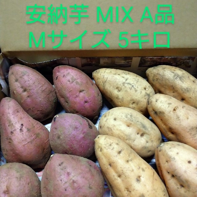 種子島安納芋MIX M 5キロ 食品/飲料/酒の食品(野菜)の商品写真