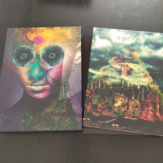 The Insulated World（完全生産限定盤/DVD付）(ポップス/ロック(邦楽))