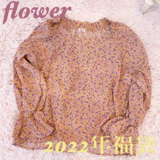 フラワー(flower)のflowerフラワー2022年福袋ブラウス(シャツ/ブラウス(長袖/七分))