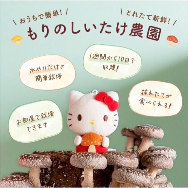 サンリオ(サンリオ)のもりのしいたけ農園×HELLO KITTY キティちゃん サンリオ きのこ栽培 エンタメ/ホビーのおもちゃ/ぬいぐるみ(キャラクターグッズ)の商品写真