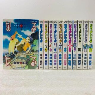 【全巻セット】なるたる　全12巻セット