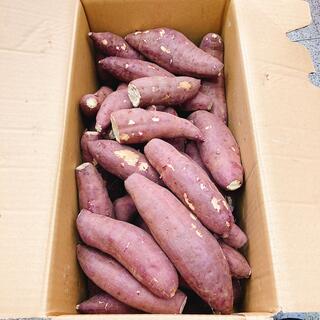 高糖度サツマイモ 大分県産 甘太くん 5キロ(野菜)