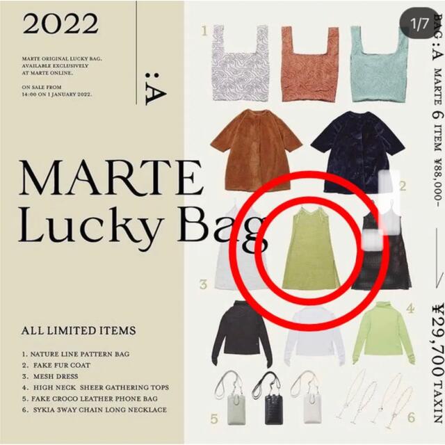 Grimoire(グリモワール)のMARTE lucky bag Mesh Dress レディースのワンピース(ロングワンピース/マキシワンピース)の商品写真