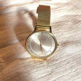 スカーゲン(SKAGEN)のSKAGEN 腕時計(腕時計)