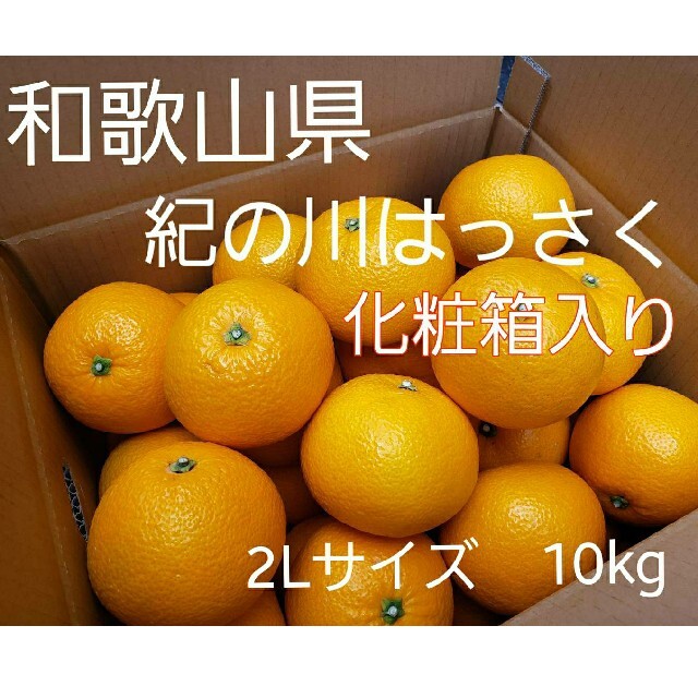 八朔　生産量日本一の和歌山紀の川はっさく上品(^^) 10キロ2Lサイズ化粧箱入 食品/飲料/酒の食品(フルーツ)の商品写真