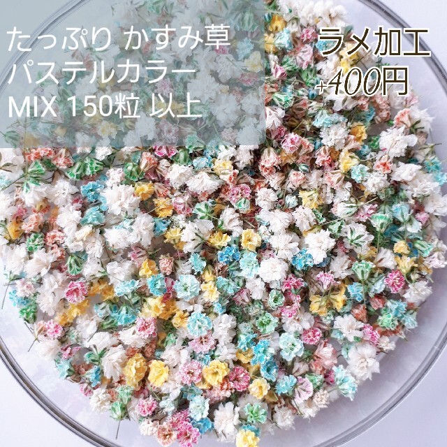 豪華　ハーバリウムボールペン　レジン　花材セット　東京堂　42種類　気まぐれ花材 ハンドメイドの素材/材料(各種パーツ)の商品写真