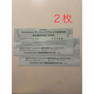 【2枚】Bunkamura ザ・ミュージアム東急株主優待フィンランドデザイン展(美術館/博物館)