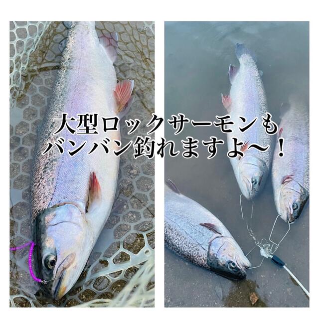 リピーター続出！！】管釣り エリアトラウト 【形状記憶】海鱒