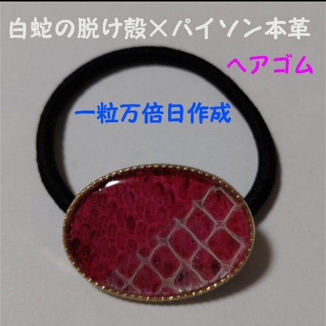 るしあ様専用 白蛇の脱け殻×パイソン本革 ヘアゴム | spss.com.sa