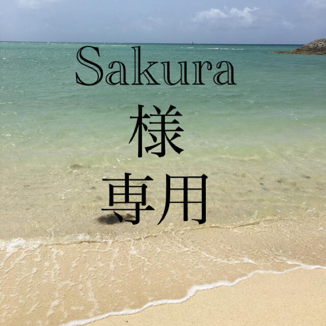 sakura専用　 エンタメ/ホビーの雑誌(アート/エンタメ/ホビー)の商品写真