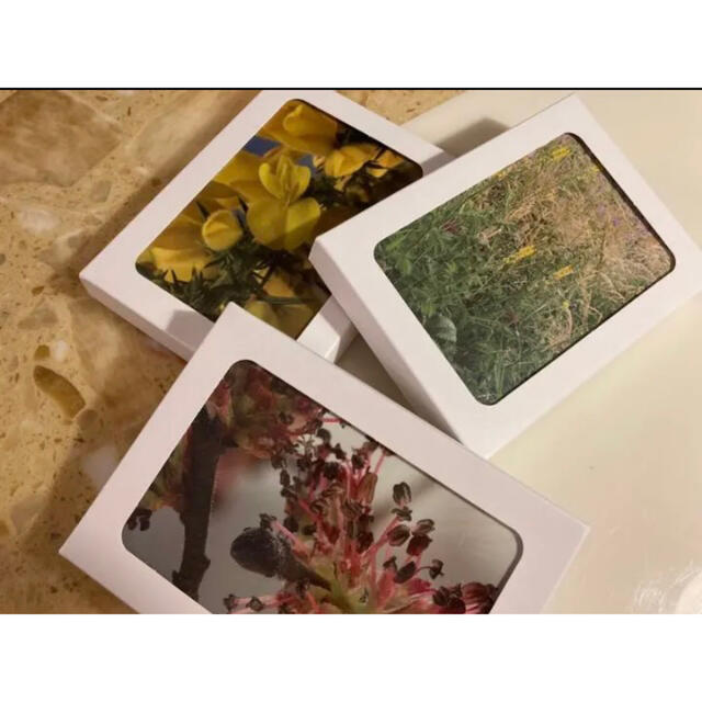 NEAL'S YARD - 新品□ヒーリングハーブス社□バッチフラワーレメディ