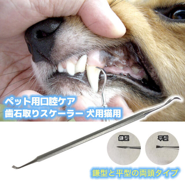 ペット スケーラー　犬　猫　歯石除去　掃除　清潔　歯ブラシ　歯周病　ケア　ペット