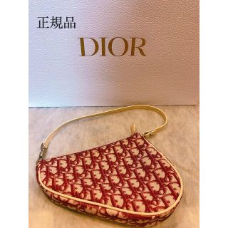 ディオール(Dior)のディオール トロッターサドルバッグ(ハンドバッグ)