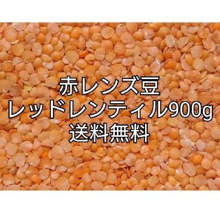 レッドレンティル900g/Red Lentil・赤レンズ豆・乾燥豆(米/穀物)