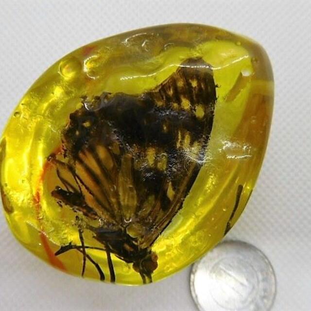 蝶入り琥珀ペンダントトップの通販 by パルナスの歌's shop|ラクマ 蝶入り琥珀ペンダントトップの通販 by パルナスの歌's shop|ラクマ