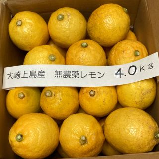 広島県大崎上島産無農薬レモン　4.0kg(フルーツ)