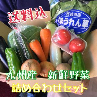 九州産　新鮮野菜　詰め合わせセット(野菜)