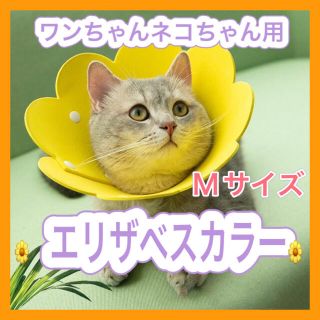 【Mサイズ】エリザベスカラー　黄色　イエロー◎(犬)