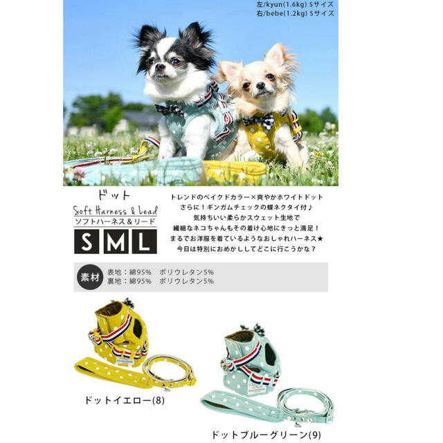 めぇ様専用【ラディカ】ハーネス＆リード　Sサイズ　犬猫用 その他のペット用品(犬)の商品写真