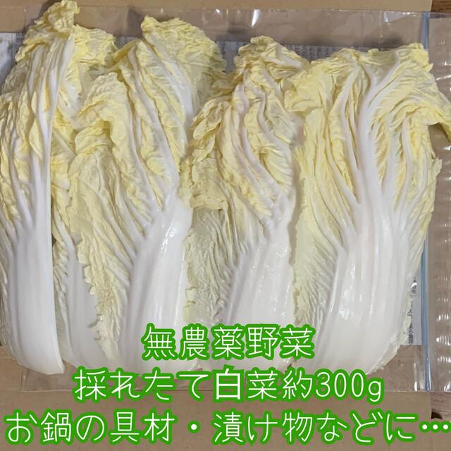 あずきLOVE様専用 食品/飲料/酒の食品(野菜)の商品写真