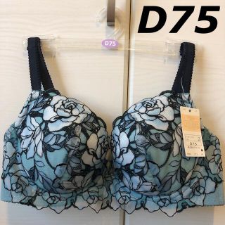 ウィング(Wing)のWing/Wacoal  ウイング/ワコール　レシアージュ　ブラジャー　D75(ブラ)