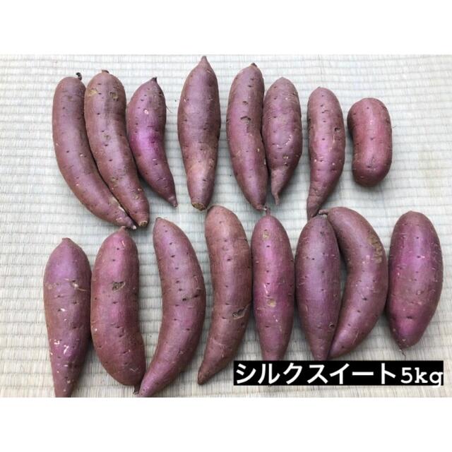 【訳あり】茨城県産無農薬さつまいもM紅はるか5kシルクスイート5kg合計10kg