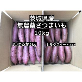 【訳あり】茨城県産無農薬さつまいもM紅はるか5kシルクスイート5kg合計10kg