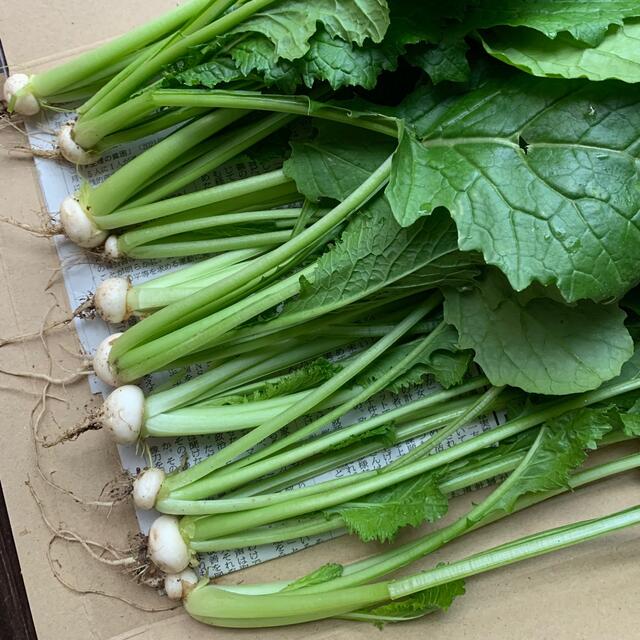 あずきLOVE様専用 食品/飲料/酒の食品(野菜)の商品写真