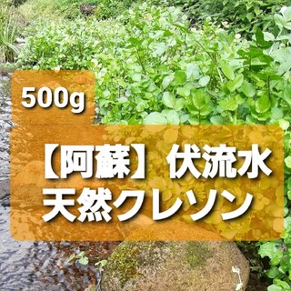 【無農薬】新鮮クレソン500g(野菜)