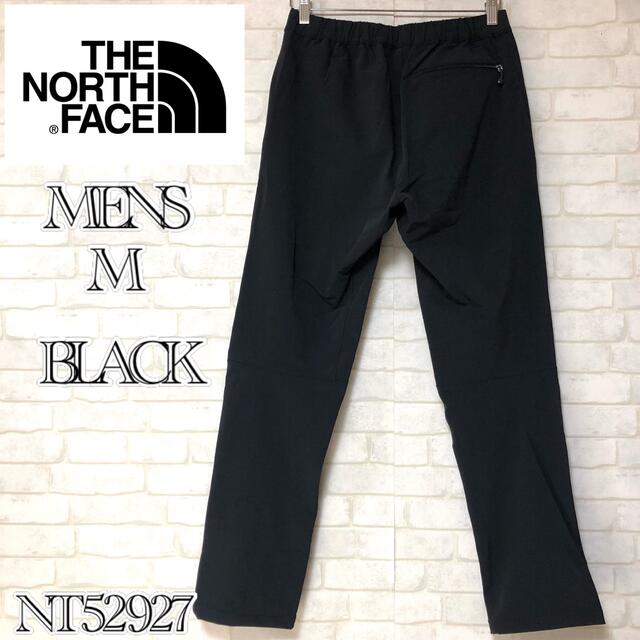 【大人気】THE NORTH FACE ALPINE LIGHT PANT 黒M