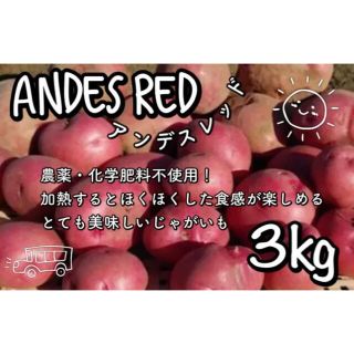 皮ごと食べよ(๑⃙⃘´꒳`๑⃙⃘) アンデスレッド  3㎏　新じゃがいも　無農薬(野菜)