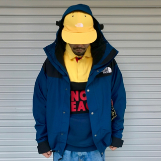 ザノースフェイス(THE NORTH FACE)のthe north face 1990 mountain jacket(マウンテンパーカー)