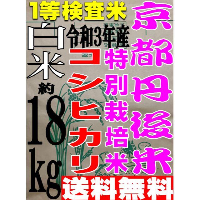 【送料無料 一等検査米】令和3年産 京都 丹後 米 コシヒカリ 白米 約18kg京丹後