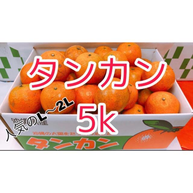 大人気　沖縄産タンカン5k(箱重量込み) 食品/飲料/酒の食品(フルーツ)の商品写真