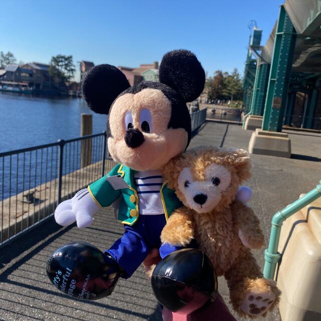 Disney(ディズニー)のダッフィー　ワンダフルヴォヤッジ　ミッキー ディズニーシー　ぬいぐるみ　TDS エンタメ/ホビーのおもちゃ/ぬいぐるみ(キャラクターグッズ)の商品写真