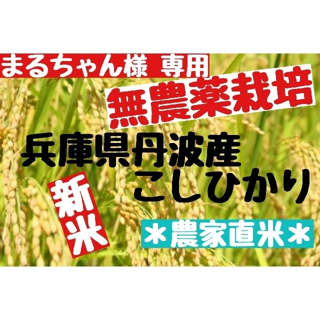 兵庫県丹波産こしひかり白米9kg(令和3年産)