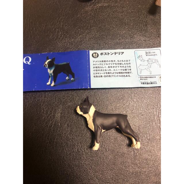 海洋堂 - morris 様専用の通販 by さんた's shop|カイヨウドウならラクマ