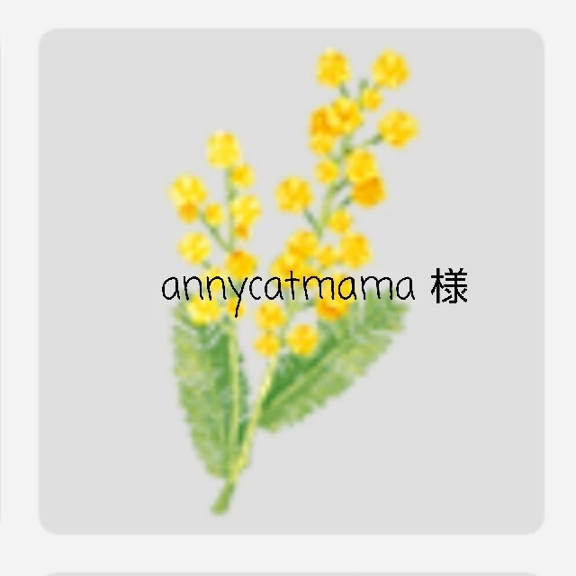 ❤annycatmama様❤ちこオリジナル⭐天然石ネックレスのみ ハンドメイドのアクセサリー(ネックレス)の商品写真