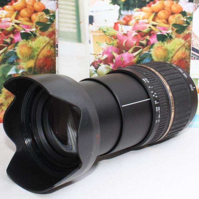 ⭐️希少品⭐️❤️これ1本で近遠対応❤️タムロン 18-200mm ニコン用❤️