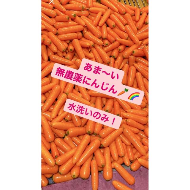 新春入荷！あま〜い　無農薬　にんじん 食品/飲料/酒の食品(野菜)の商品写真