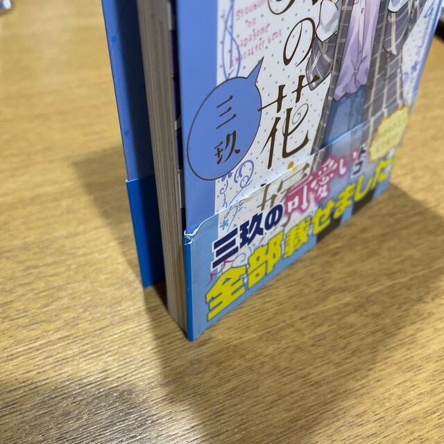 五等分の花嫁　キャラクターブック　三玖 エンタメ/ホビーの漫画(漫画雑誌)の商品写真