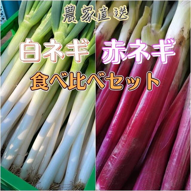 超貴重！茨城県産赤ネギ長ネギ食べ比べセット！5キロ 食品/飲料/酒の食品(野菜)の商品写真